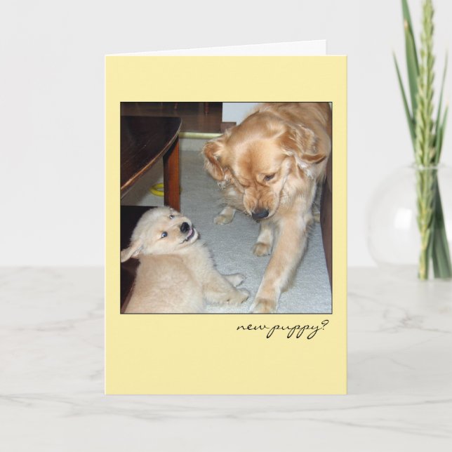 Funny Golden Retriever Nouvelle carte de chiot (Devant)