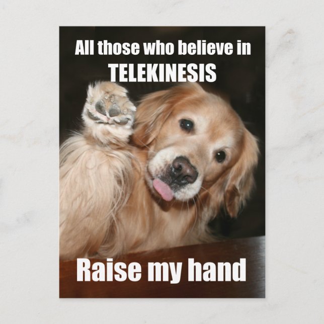 Funny Golden Retriever Telekinesis Carte postale (Devant)