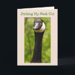 Funny Goose Joke Carte d'anniversaire<br><div class="desc">Jolie photo d'une oie du Canada contre un arrière - plan vert verdoyant. A l'intérieur,  il y a une photo d'un gosling à ajouter à la fête d'anniversaire. Personnalisez les messages et faites votre propre salutation amusante. Photos ©Christine Greenspan.</div>
