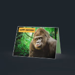 FUNNY GORILLA PHOTOGRAPHIE CARTE D'ANNIVERSAIRE<br><div class="desc">CARTE D'ANNIVERSAIRE DE GORILLA. LITS DE COUVERTURE : JOLI ANNIVERSAIRE. LITS INTÉRIEURS : YA BIG APE</div>