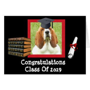 Funny Graduation Card pour 2019 avec Basset Hounds