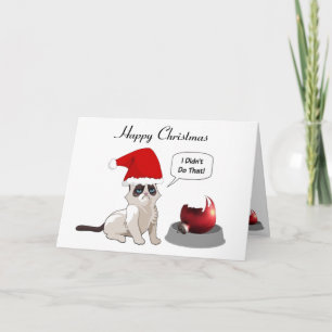 Funny Grumpy Kitten Carte de Noël