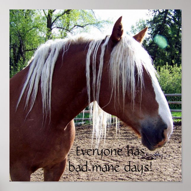 Funny Horse "Everyone Has Bad Mane Days" Poster (Devant)