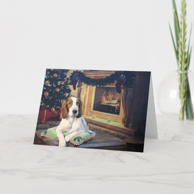 Funny Irish Red and White Setter Carte de vacances (Devant)