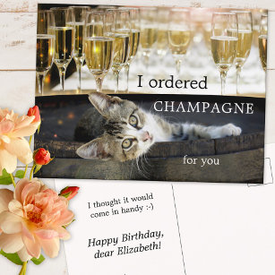 Funny Kitten Cheval Carte postale Anniversaire