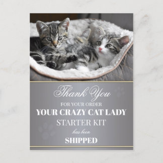 Funny Kittens Carte postale d'anniversaire