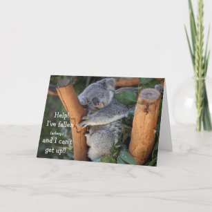 Funny Koala Bear, Carte Anniversaire Anniversaire