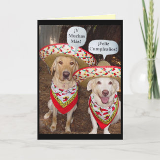 Funny Lab Carte d'anniversaire en espagnol