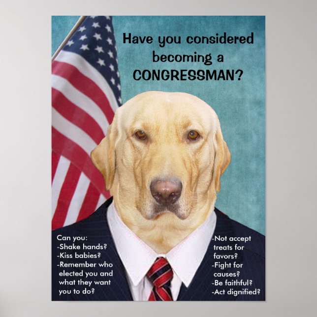 Funny Lab Congressman Poster (Devant)