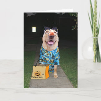 Funny Lab habillé comme une carte d'Halloween huma