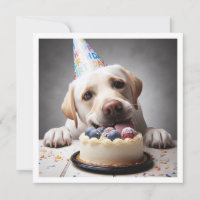 Funny labrador carte d'anniversaire, labrador