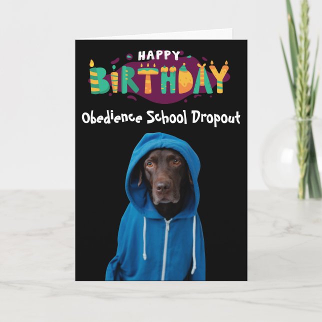 Funny Labrador chien carte d'anniversaire (Devant)