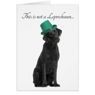 Funny Leprechaun Lab Card