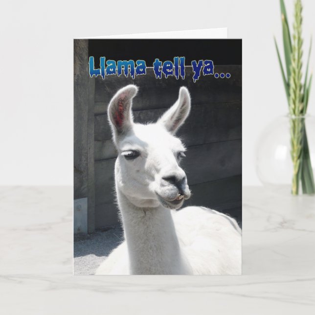 Funny Llama Bonne Carte de voeux d'anniversaire (Devant)