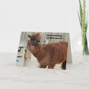 Funny Llama carte d'anniversaire