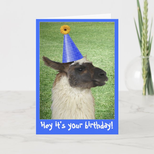 Funny Llama carte d'anniversaire ou invitation (Devant)