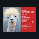 Funny Llama Christmas Stupide carte postale Carte<br><div class="desc">Envoyez le cadeau de rire cette période de fêtes avec ces cartes postales hilarantes de Noël! Nous savons tous que nous sommes "supposés" envoyer des cartes photos à Noël - c'est la pratique culturellement acceptée, après tout. Eh bien, ces cartes disent, "Voici votre carte photo stupide", et elles incluent une...</div>