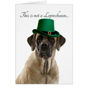 Funny Mastiff Leprechaun Card