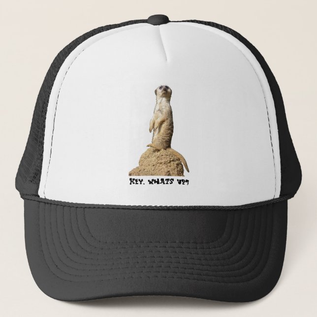 Funny Meerkat debout Casquette (Devant)