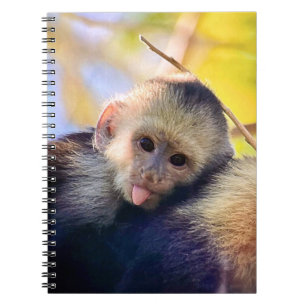 Funny Monkey Carnet