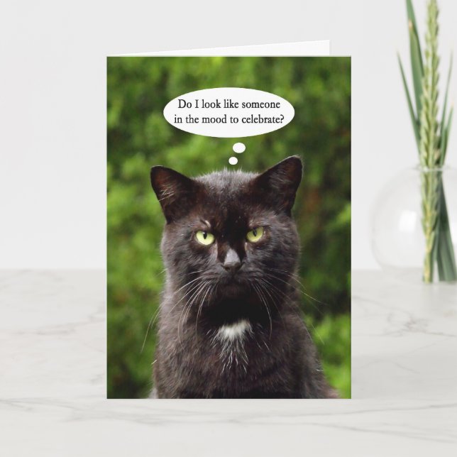 Funny Moody Black Cat carte d'anniversaire (Devant)