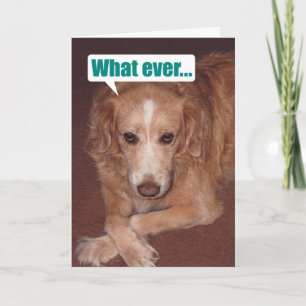 Funny Mutt avec carte d'anniversaire d'altitude
