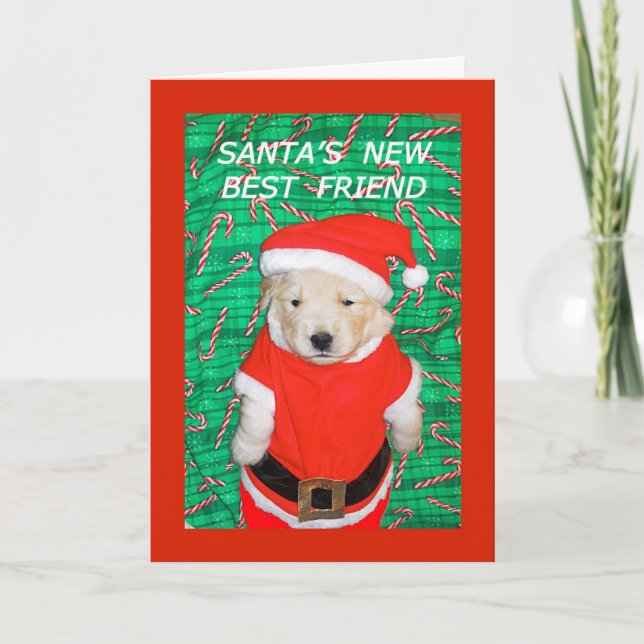 Funny Père Noël Chiot Carte de voeux de Noël (Devant)
