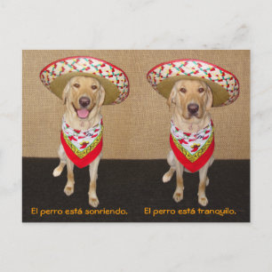 Funny Pet Espagnol Carte postale et aide pédagogiq