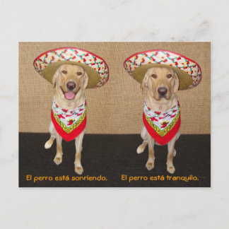 Funny Pet Espagnol Carte postale et aide pédagogiq
