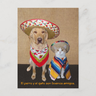 Funny Pet Espagnol Carte postale et aide pédagogiq