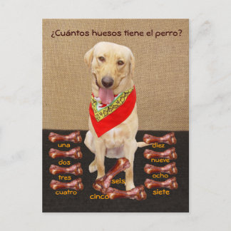 Funny Pet Espagnol Carte postale et aide pédagogiq