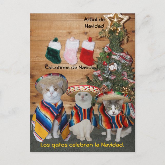 Funny Pet espagnol Cartes postales pour le plaisir (Devant)