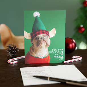Funny Pet Photo Christmas Holiday Carte postale