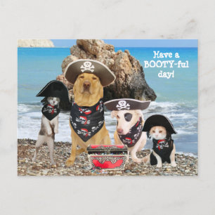 Funny Pet Pirate Day carte postale