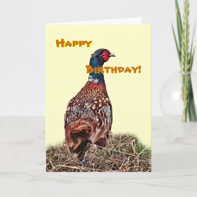 Funny Pheasant carte d'anniversaire (Devant)