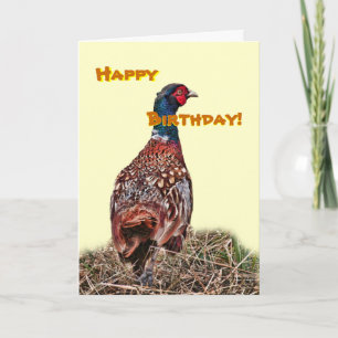 Funny Pheasant carte d'anniversaire