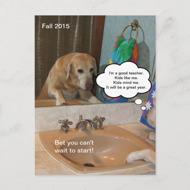 Funny Positive Affirmation Carte postale pour ense (Devant)