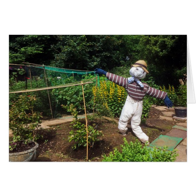 Funny scarecrov (Devant horizontal)