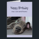 Funny Social Distance Birthday Great Dane Dog<br><div class="desc">Funny Social Distcing Birthday Card with a cute Great Dane Dog who looks like's done Great card for that special with a sense of humor or one who likes Great Danes,  dogs and hummor</div>