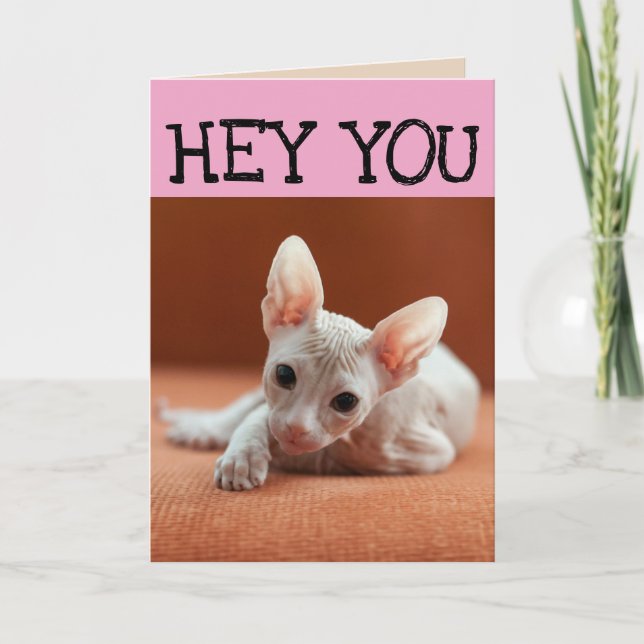 FUNNY SPHYNX CHAT CARTES DE SALUT D'ANNIVERSAIRE (Devant)
