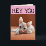 FUNNY SPHYNX CHAT CARTES DE SALUT D'ANNIVERSAIRE<br><div class="desc">CARTE D'ANNIVERSAIRE CHAT SANS CHEVEUX</div>