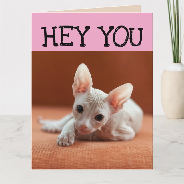 FUNNY SPHYNX CHAT GRANDE CARTE DE SALUT D'ANNIVERS (Devant)