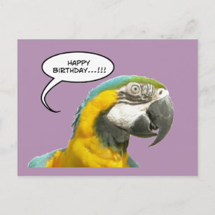 Cartes Postales Anniversaire Perroquet Originales Zazzle Fr