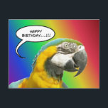 Funny Talking Parrot Rainbow Birthday Carte postal<br><div class="desc">Ce perroquet vous dit Joyeux anniversaire !
Grand-parents c'est une carte postale à envoyer à votre petit-enfant(s).

Article de la Funny Talking Parrot Line.</div>