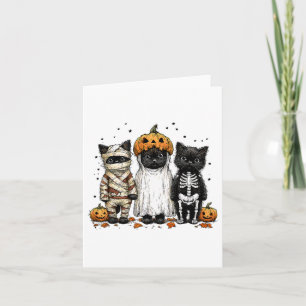 Funny trois chats d'Halloween