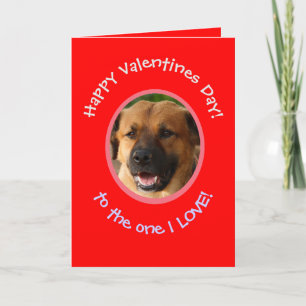 Funny Valentine De Chien À Propriétaire Carte phot