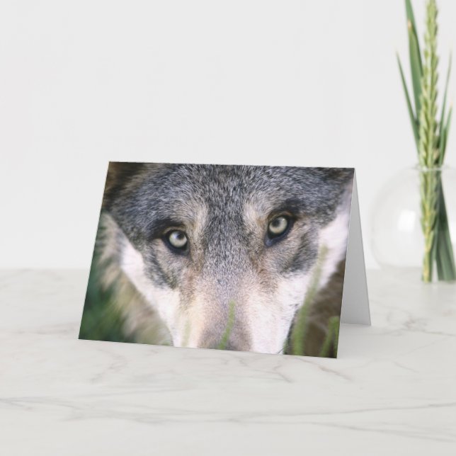 Funny Wolf Up Fermer carte d'anniversaire (Devant)