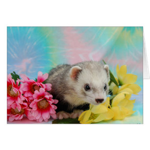 Furet