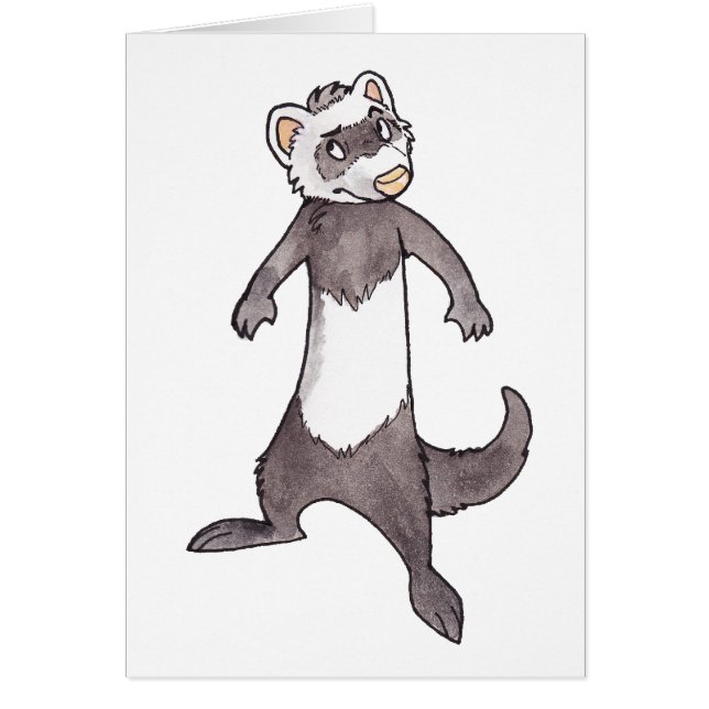 Furet (Devant)