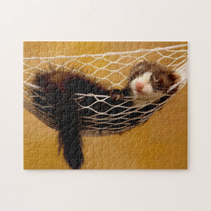 Furet Décontracté, Puzzle